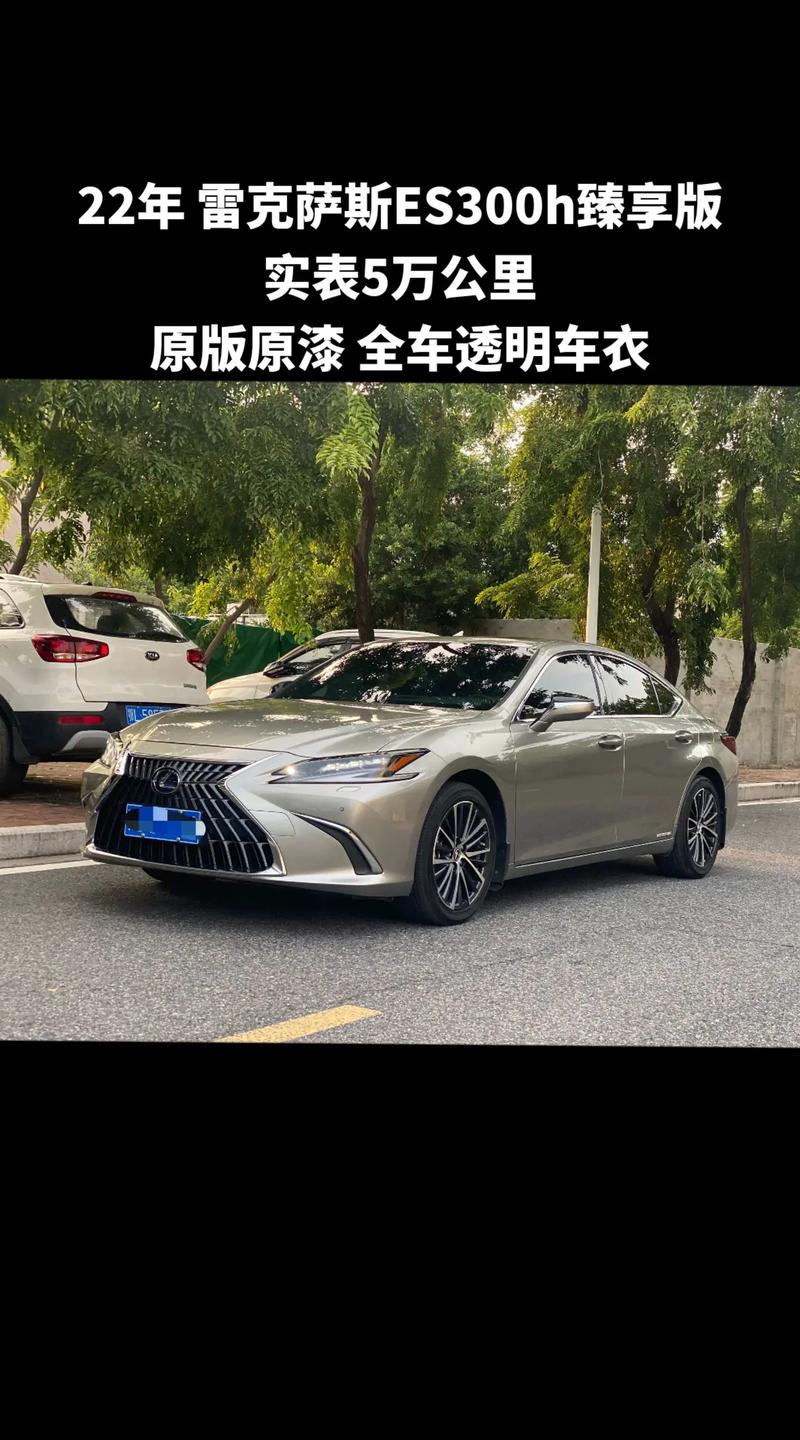 真正懂车的买es300h,买es300h的都是什么人