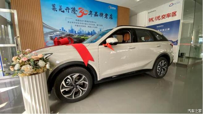 枭龙汽车产业园(枭龙汽车4s店)