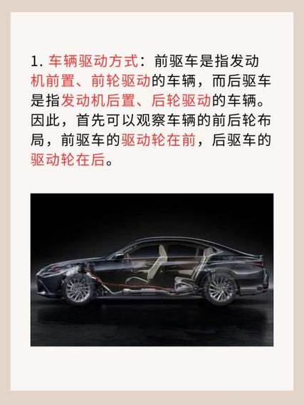 前置后驱和前置前驱有什么区别(前驱和后驱哪个好开)