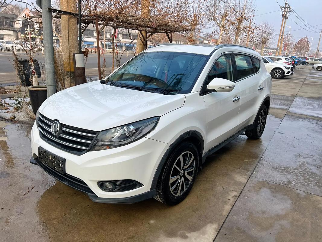 东风风光图片大全(东风风光图片大全高清)