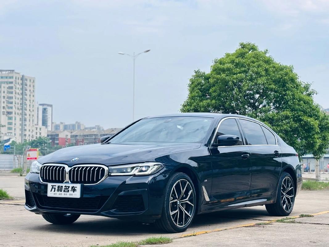 宝马2020年新款5系 宝马新5系 2022