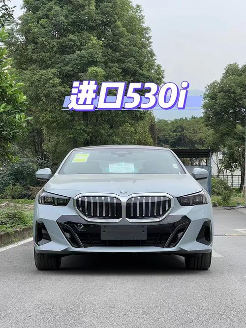 宝马5系进口530i颜色,宝马进口530i所有颜色